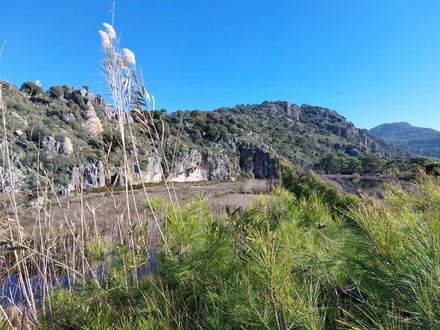 Salt factory location. Photograph taken in wet season.