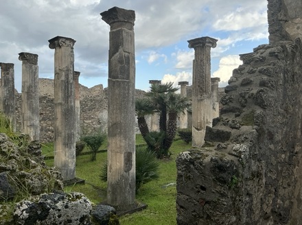 Domus