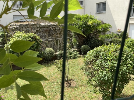 Stadtmauer