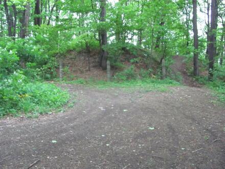 Młyńska Kępa Hillfort