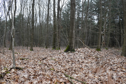 Übungslager Uedemerbruch XI