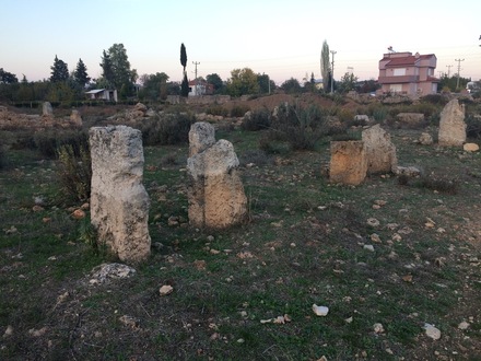 Düzlerçamı - ruins of temple.