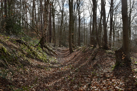 Römische Wasserleitung - Ausbruch