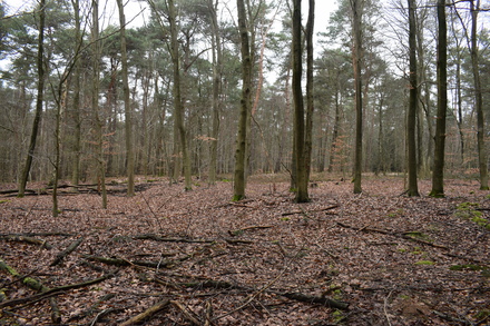 Übungslager Uedemerbruch X