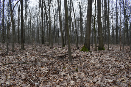 Übungslager Uedemerbruch XI