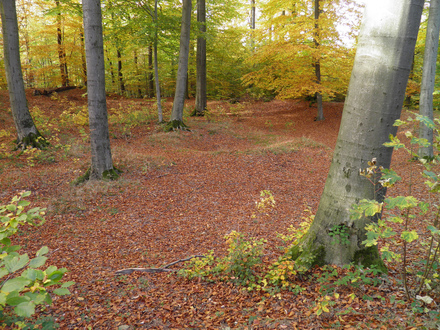 Zugmantel amphitheatre