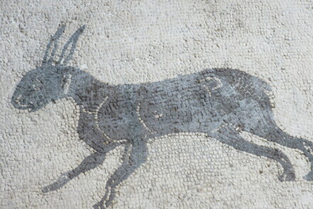 Mosaique d'Orphée