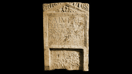 Grafsteen van Fledimella