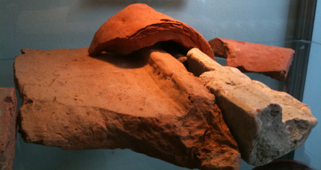 Dakpannen Villa Cothen-De Zemelen