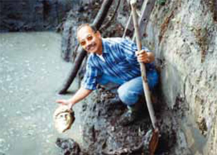 Vindplaats gezichtsmasker