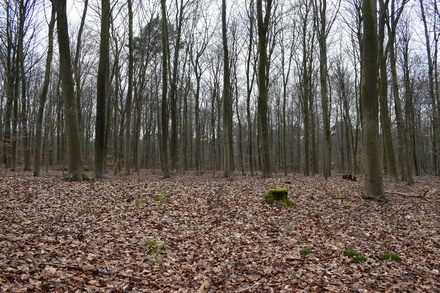 Übungslager Uedemerbruch XIII