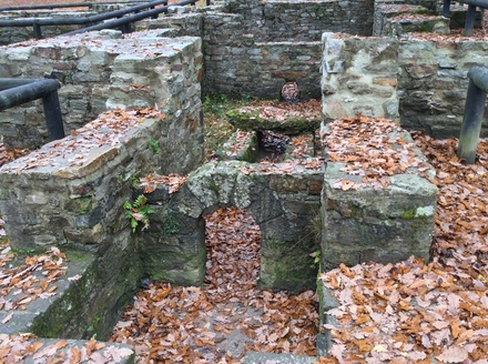 Caldarium