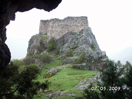 Canca