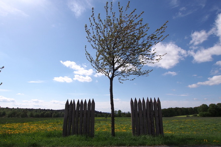 Limespalisade am Wp 10-16