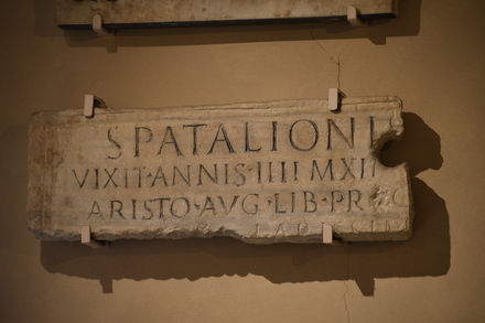 Museo arcivescovile