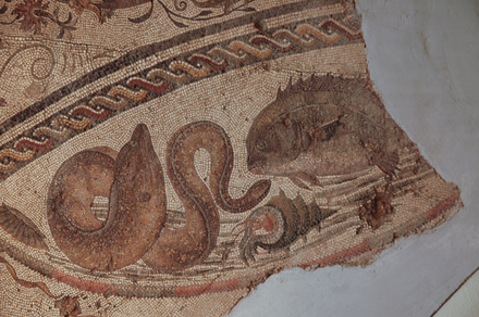 Dar Buc Ammera, round mosaic