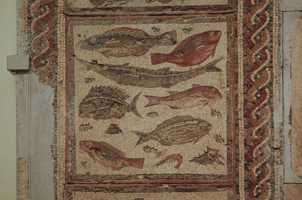 Dar Buc Ammera, four seasons