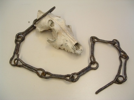 Hondenketting en -schedel