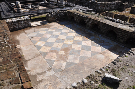 Dionysus house