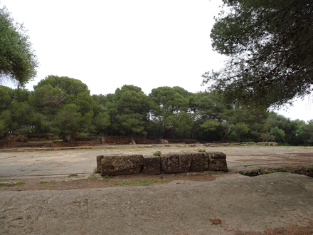 Forum - Tipasa