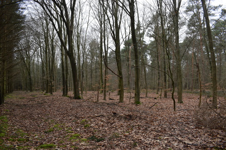 Übungslager Uedemerbruch X