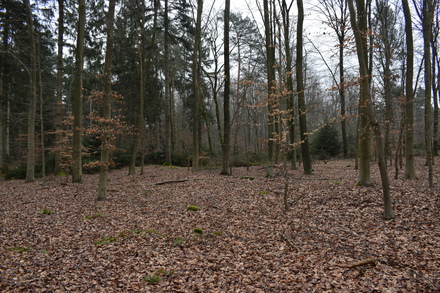 Übungslager Uedemerbruch XIII