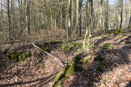 Römische Wasserleitung - Ausbruch