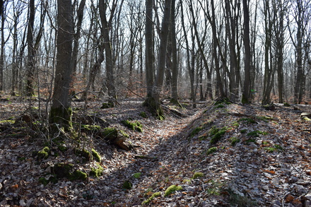 Römische Wasserleitung - Ausbruch