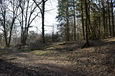 Kastell Zugmantel