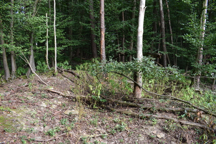 Turm 3-25