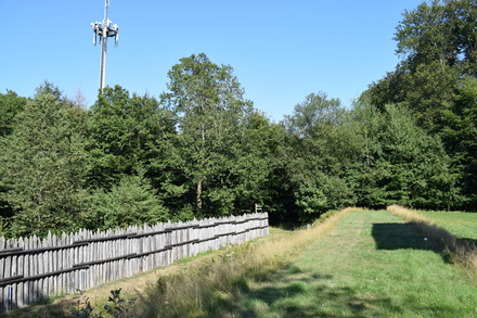 Limespalisade am Wp 3-15