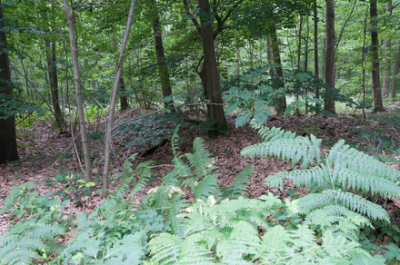 Übungslager Uedemerbruch XIII