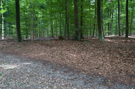 Übungslager Uedemerbruch XIII