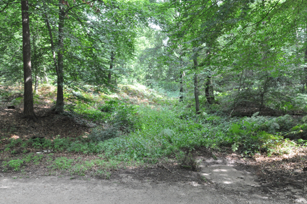 Greppel Aquaduct Nijmegen
