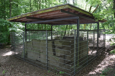 Römische Grabkammer