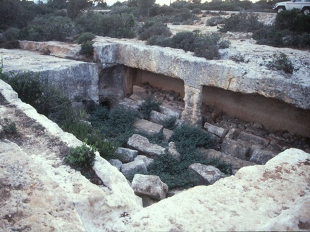 ez-Zauani