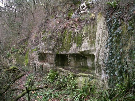 Roman camp