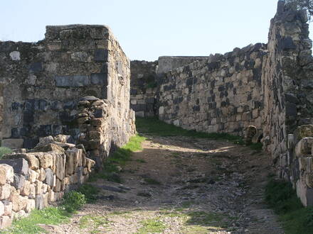 Gadara
