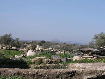 Gadara