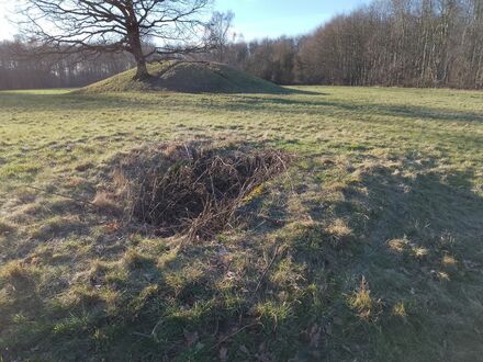 Gammel Hestehave Cist