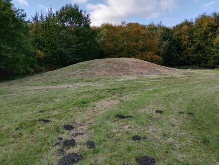 Gammel Hestehave Mound (41179)