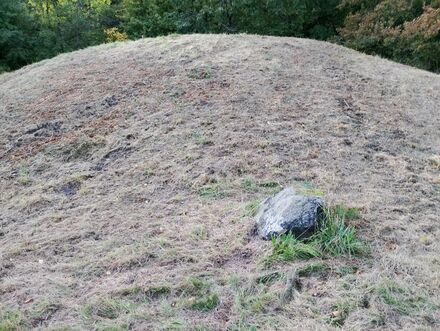 Gammel Hestehave Mound (41179)