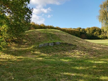 Gammel Hestehave Mound (411712)