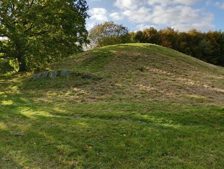 Gammel Hestehave Mound (411712)