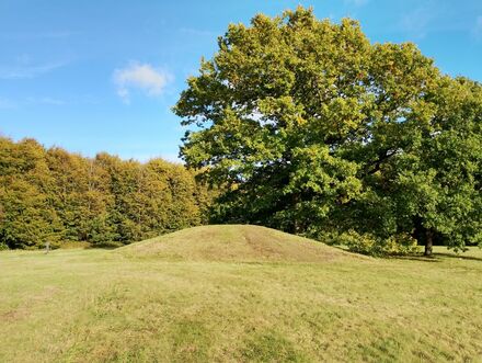 Gammel Hestehave Mound (411713)