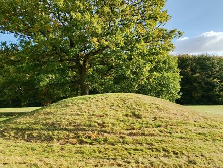 Gammel Hestehave Mound (411713)