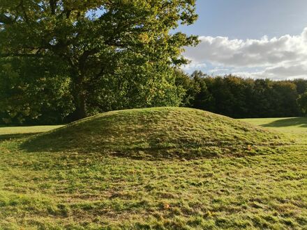 Gammel Hestehave Mound (411713)