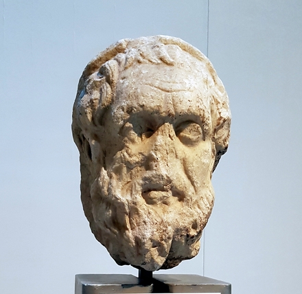 Head of Homer