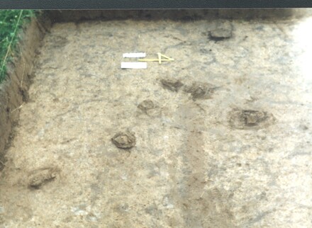 Lipnik - cementary - excavations