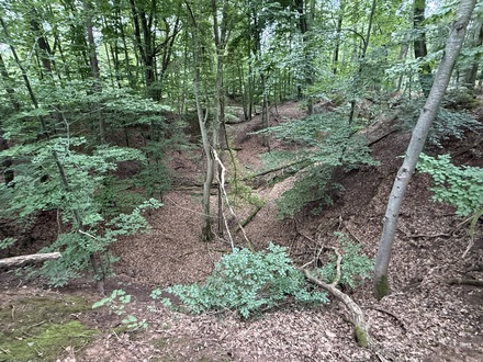roman quarry
